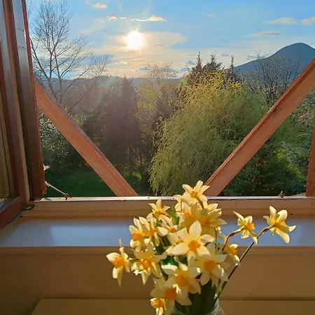 Wildrose بيت للعطل