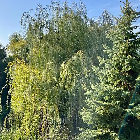 بيت للعطل Wildrose