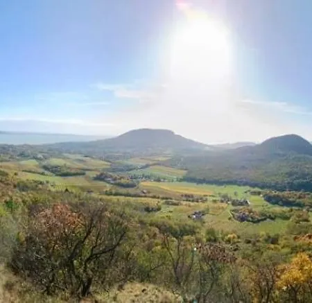 Wildrose باداتشونيتوماي