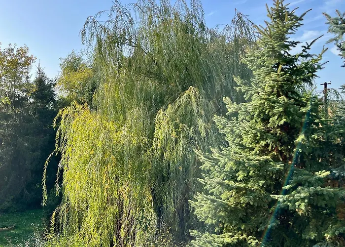 Сasa de vacaciones Wildrose