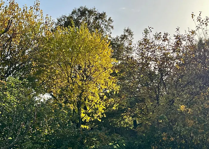 Wildrose Сasa de vacaciones Badacsonytomaj