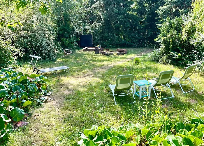 Wildrose * Badacsonytomaj