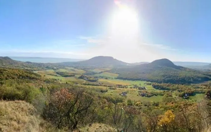 Wildrose Badacsonytomaj